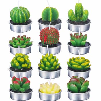 The 12 tea lights, each in a different succulent shape