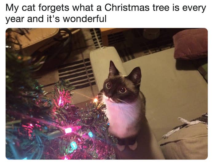 25 Wholesome Holiday Memes That Will Speak To You If You Love