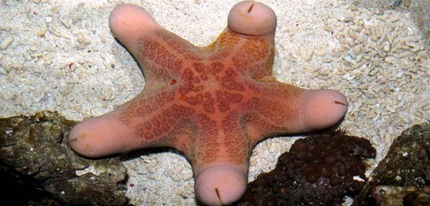 enhanced-15569-1544560511-14.jpg?output-format=jpg&output-quality=auto