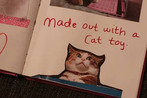 This "Thank U, Cats" Video May Be Even Better Than Ariana Grande's Original