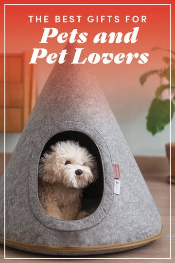 gifts for dog lovers canada
