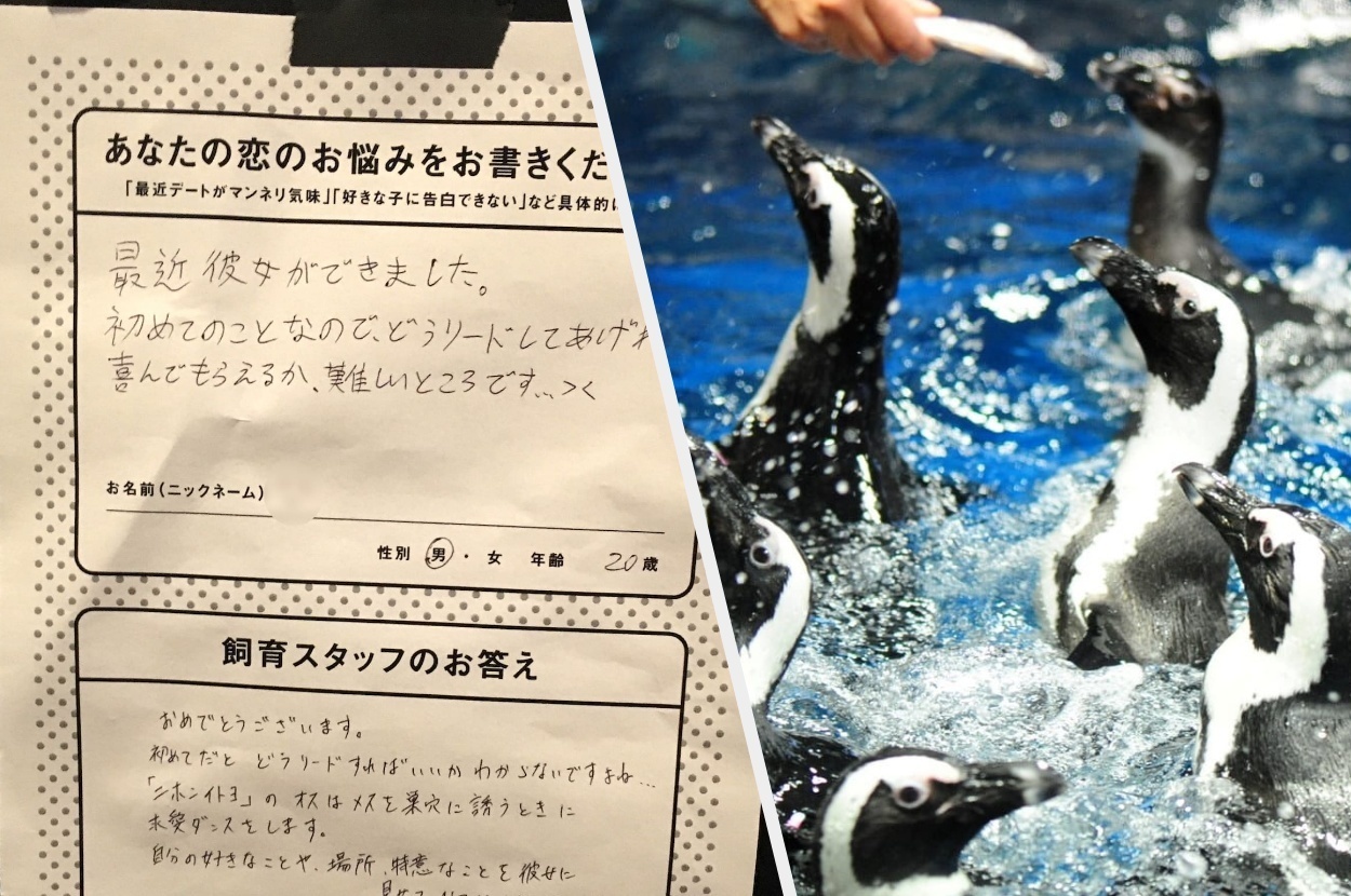 クリスマスラブを成功させたい人は みんなここで相談してきたらいいと思う クリスマスラブを成功させたい人は みんなここで相談してきたらいいと思う