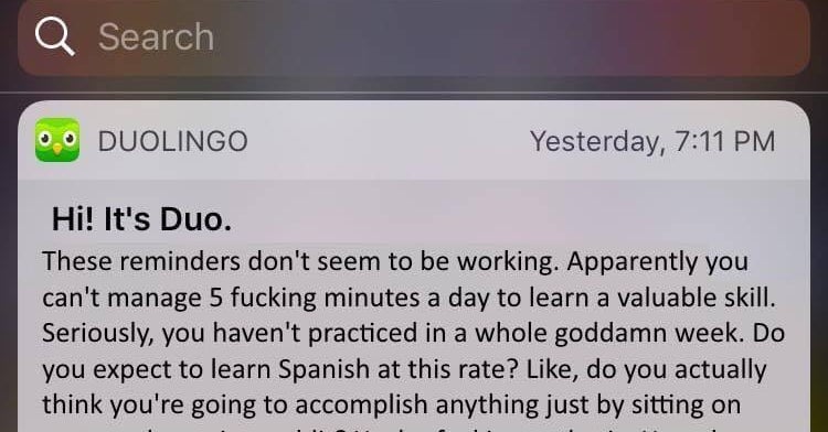 17 Jokes About Duolingo You Ll Appreciate If You Re Learning A New Language