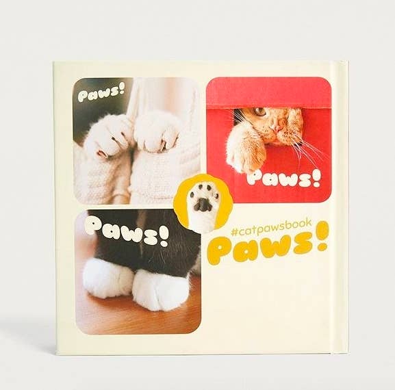 Cute Affordable Gifts For Cat Lovers