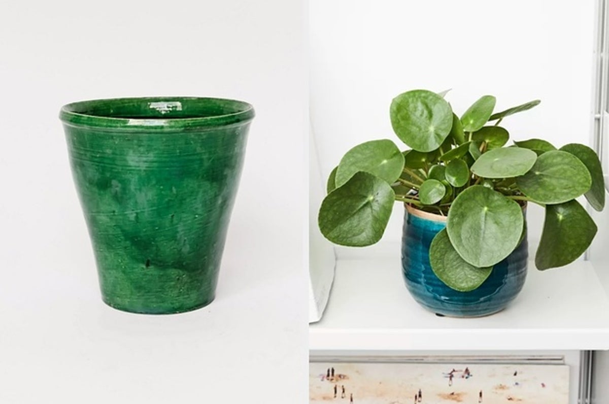 17 Affordable And Genuinely Original Gifts For Plant Lovers Divinity original sin 2 wiki has all information on weapons, armor, quests, skills, abilities, maps, crafting, guides and walkthroughs. genuinely original gifts for plant lovers