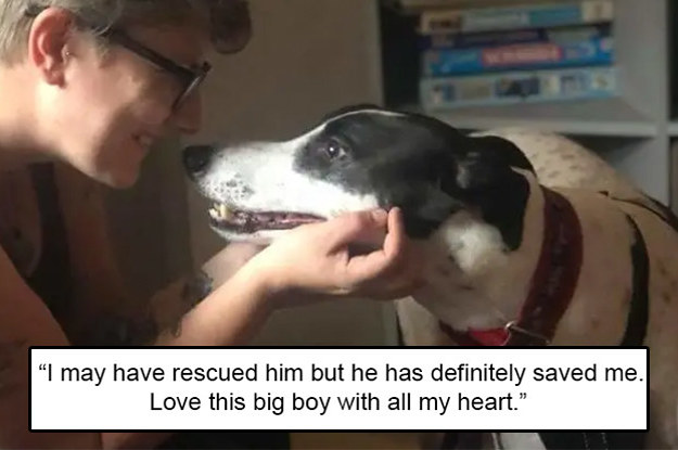heartwarming dog stories