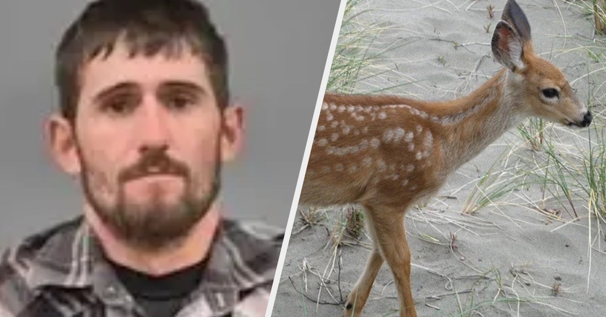 大量の鹿を殺した男に バンビの刑 が言い渡される