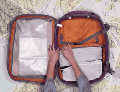 Ok, this weekend backpack is AMAZING. I use it for all my side trips now, and have been able to pack for 10 days with it. There are lots of pockets, a back section for a laptop, an ejectable bottle holder, and the ability to lock the zippers. It's actually unreal how much this thing can fit. Get it from eBags for $129.99.