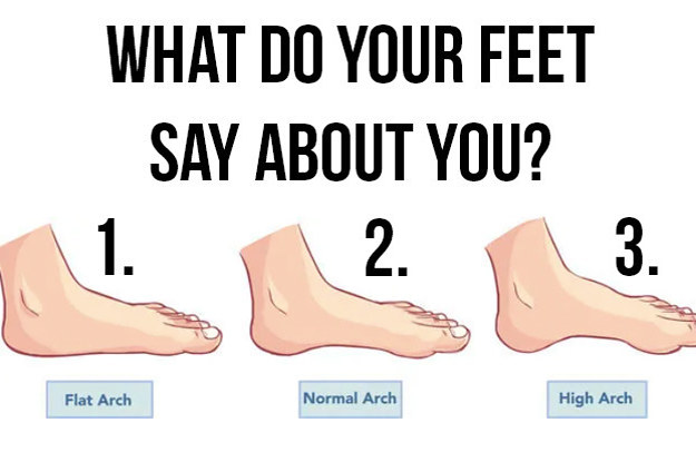 Feet Ancestry Chart