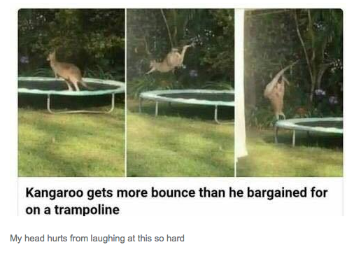 51 Times Australians Were The Funniest On Tumblr