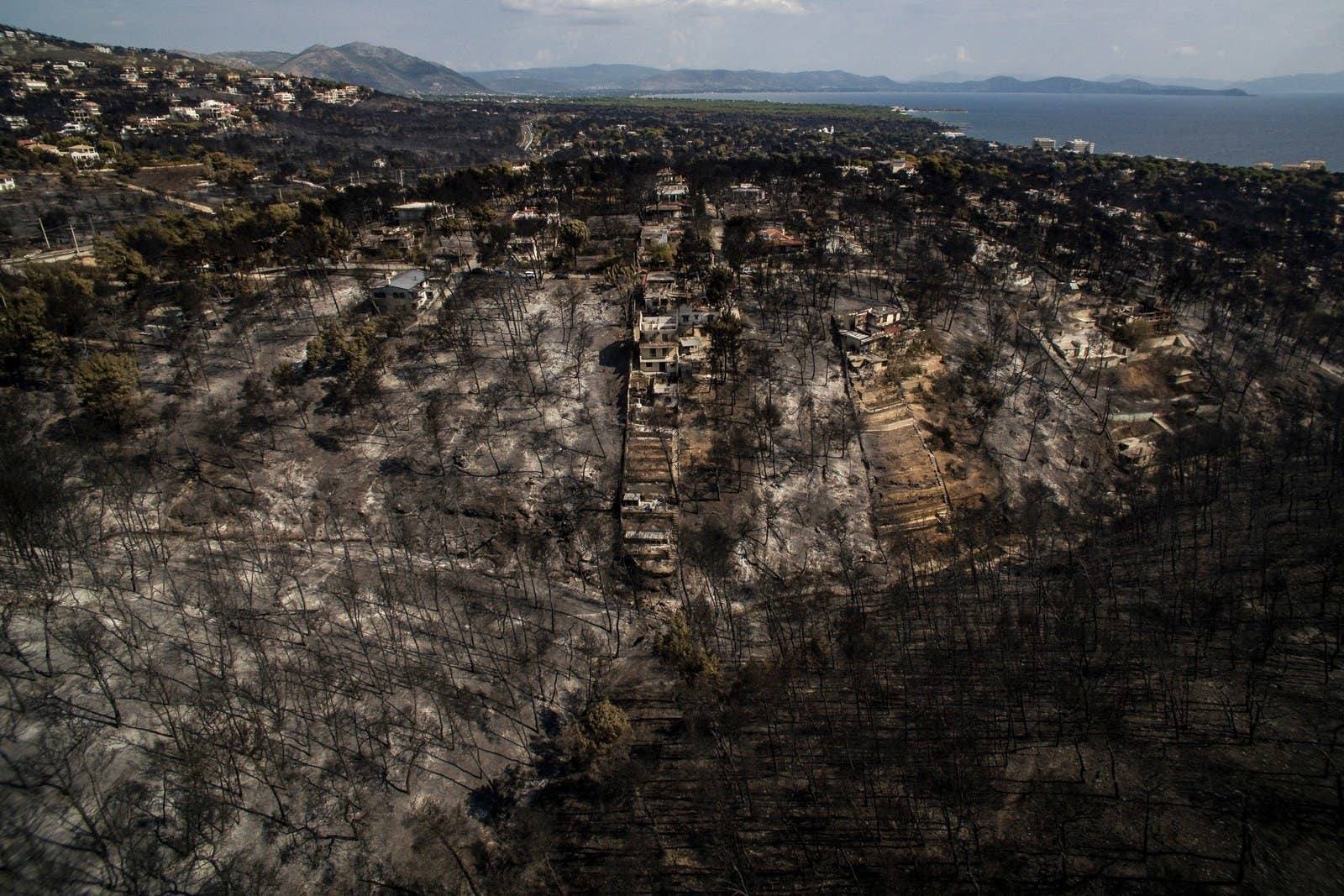 A scorched area following a wildfire in the Greek village of Mati, July 26.