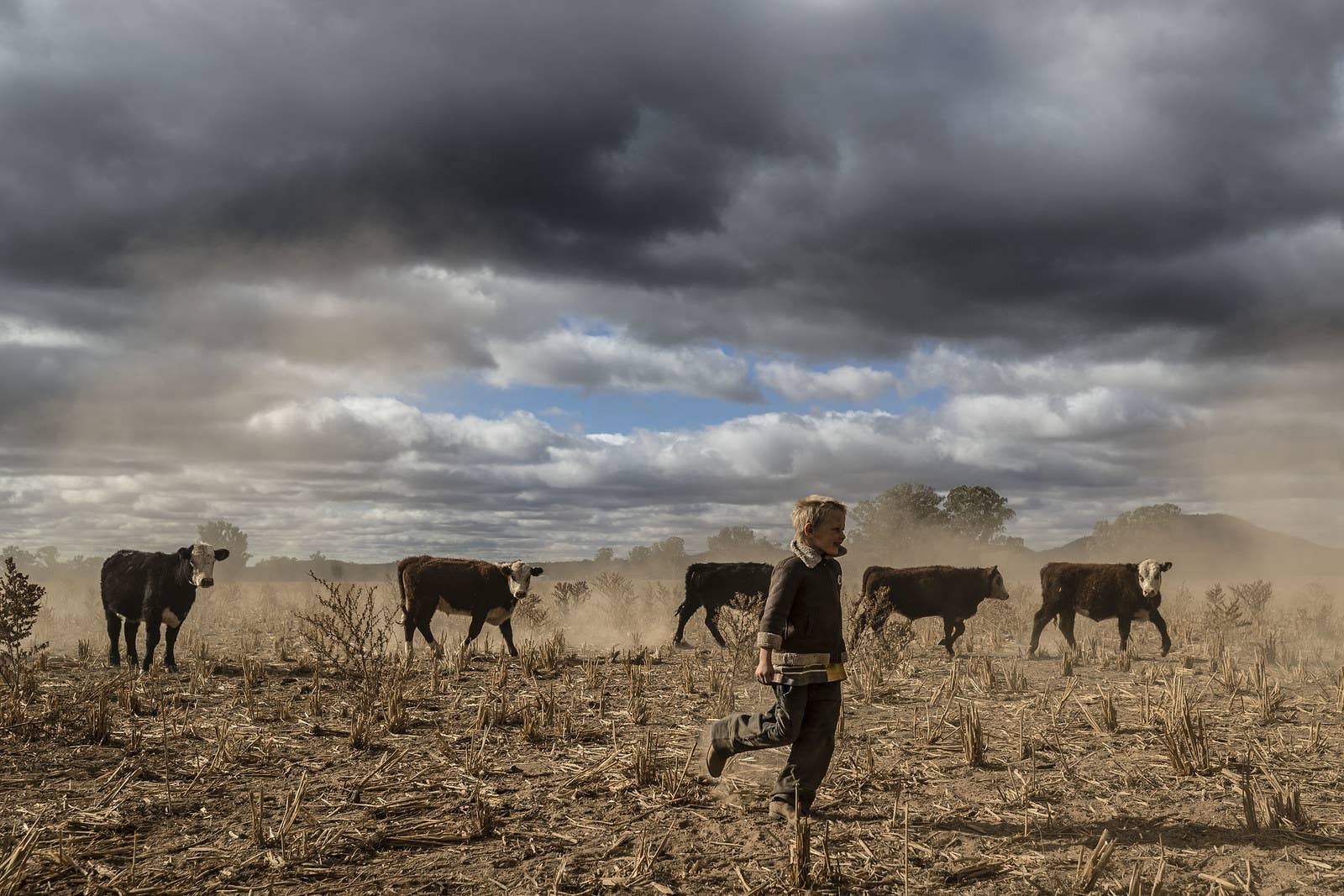 Harry Taylor, 6, plays on the dust bowl his family farm has become during the drought on June 17 in Coonabarabran, New South Wales, Australia.