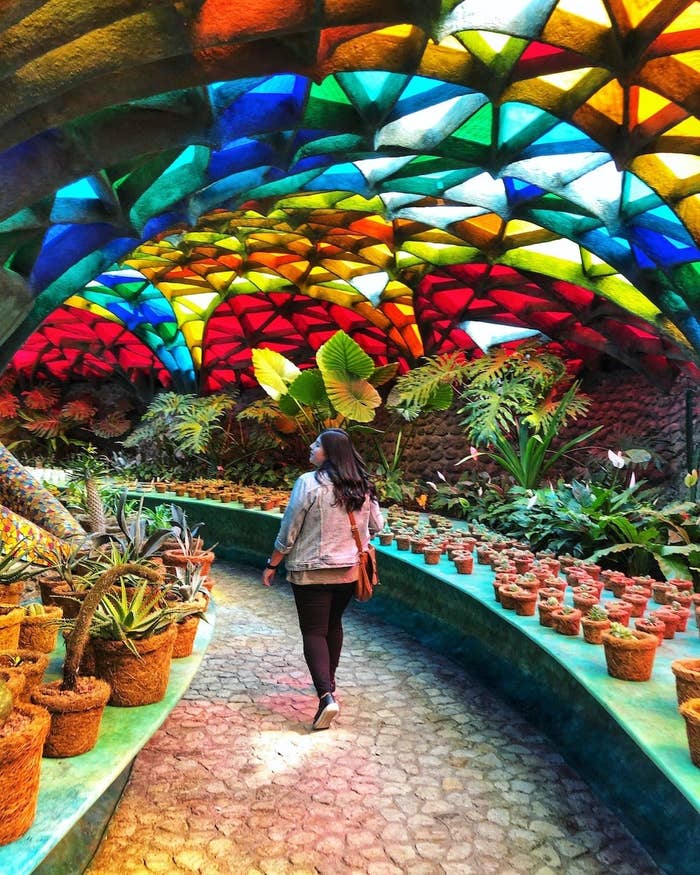 Fresh Things to Do in Mexico City