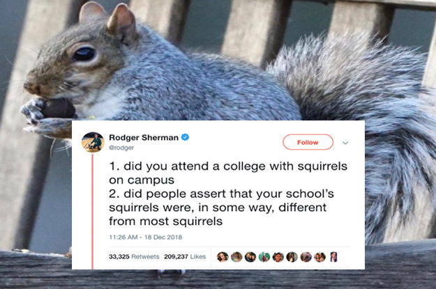 Yankees squirrel memes with terrified fans are all over Twitter