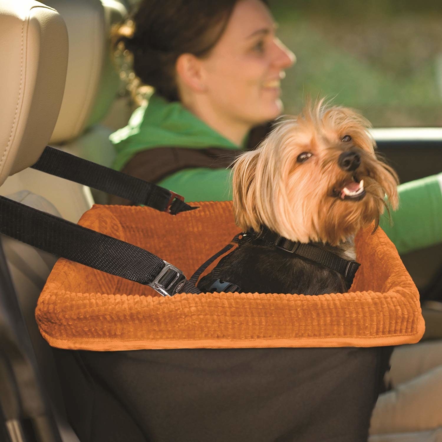 a small dog sitting in a basket-like booster seat in the car