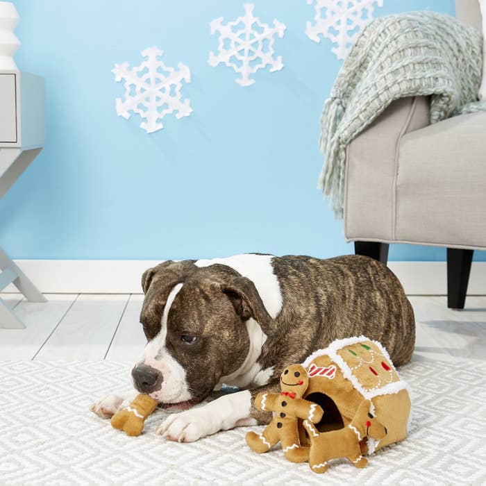 32 Of The Best Gifts For Dogs