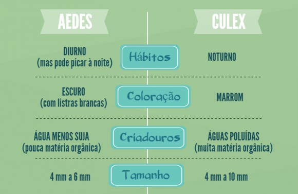 Ôoo, mosquitão!