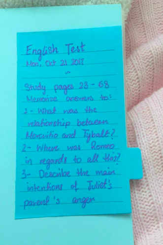 A reviewer's blue lined note about what to study for and English test