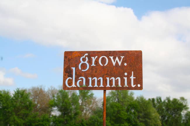 garden with metal sign that says grow dammit