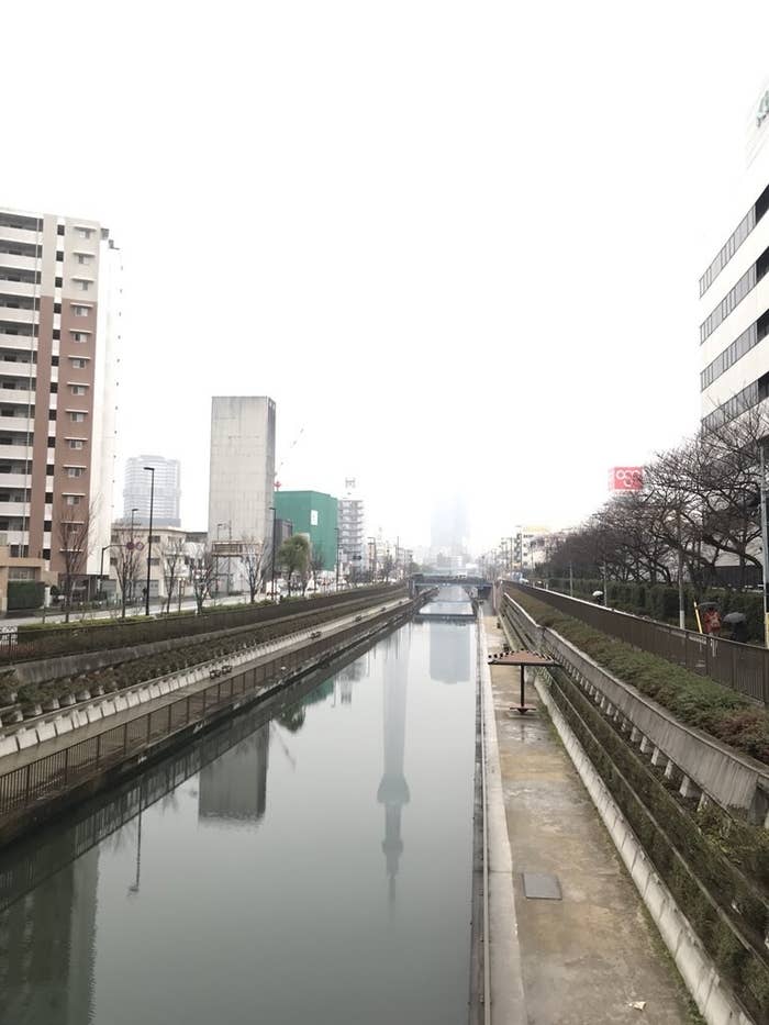 ファンタジー映画のような幻想世界 東京に現れる