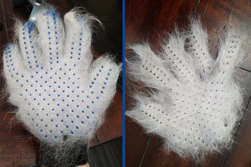 The glove covered in hair