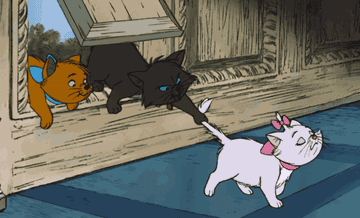 marie from the aristocats trying to head into a room while her brother berlioz pulls her tail
