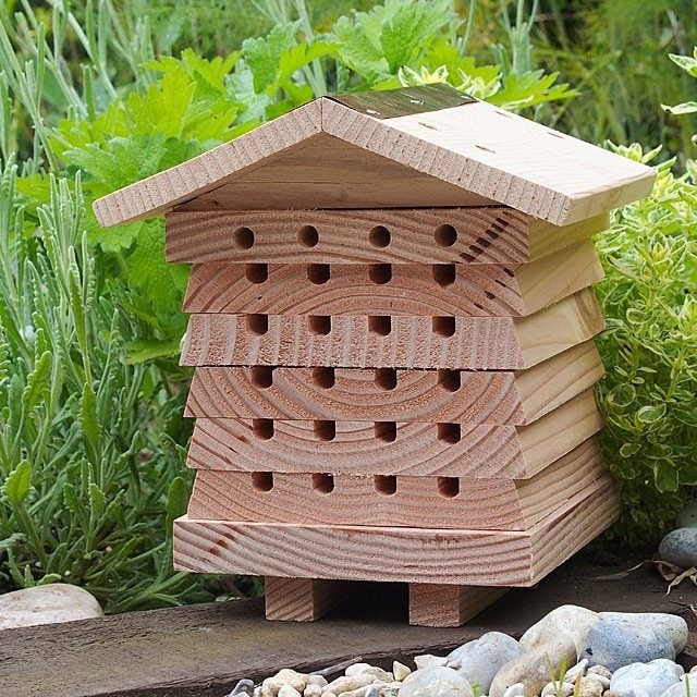 house shaped wooden bee home 