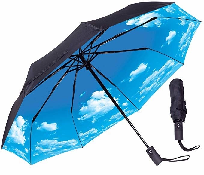 black umbrella with blue sky print on the inside when you open it 