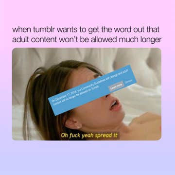 Tumblr's Porn Ban Will Delete A Huge Part Of Internet Culture