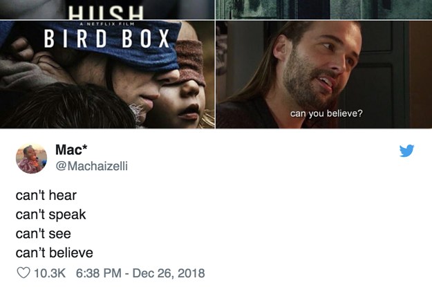 "Bird Box" Is A Meme Now, With Help From "A Quiet Place" And "Hush"