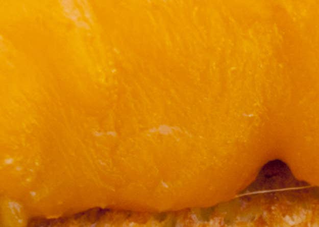 Can You Identify These Junk Foods Based Only On A Super Zoomed In Photo Of Them