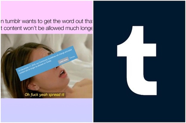 625px x 415px - Tumblr's Porn Ban Will Delete A Huge Part Of Internet Culture