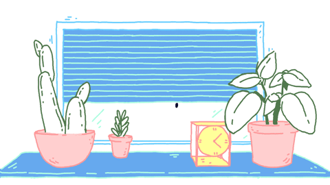 Got any friends who are plant parents? I think we all know someone. Many plants and succulents are decently priced and would make a small but leafy and fun gift. Pick out or decorate a pot, add something special to it and make it your own. Side idea: You could also make them a mini Christmas tree with regular ornaments or put your own spin on it. Whether it be a real one or crafty one from Michael's.