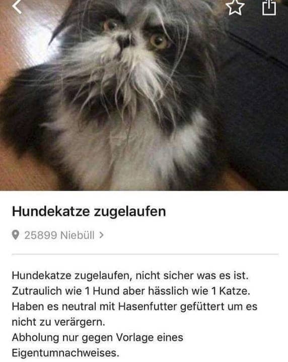 Ebay Kleinanzeigen Das Waren Die Irrsten Momente Der Letzten Zehn
