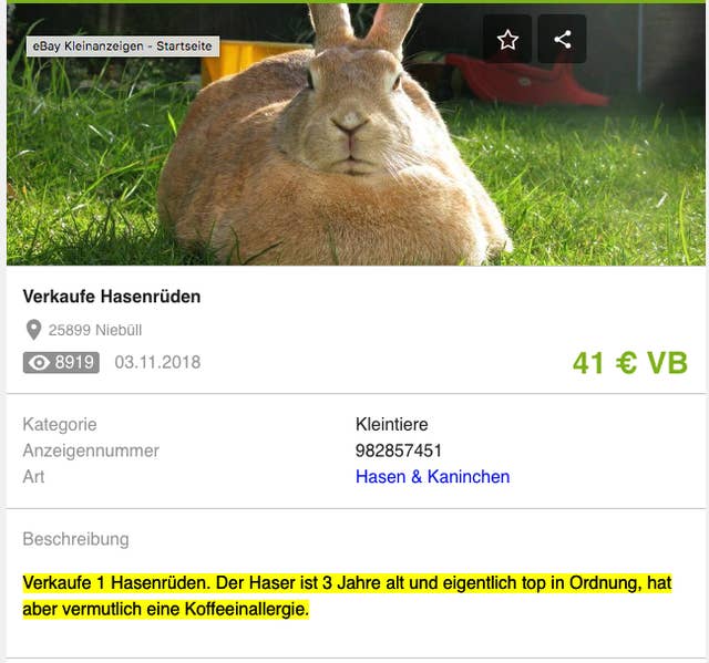 Ebay Kleinanzeigen Ah Wie Bitte Was Is Hier Eigentlich Los