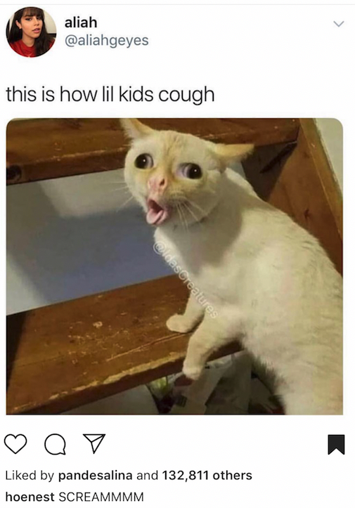 We Need To Talk About This "Coughing" Cat Meme Because It Has Truly