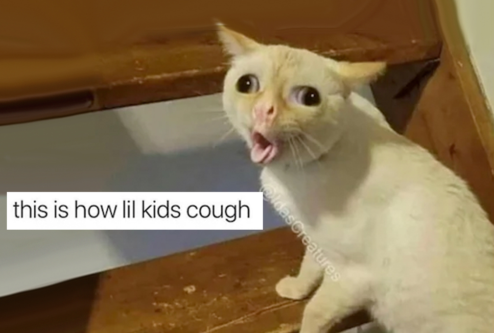 How Kids Cough Meme?