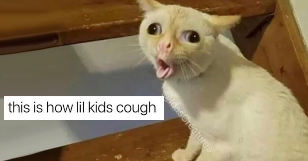We Need To Talk About This "Coughing" Cat Meme Because It Has Truly