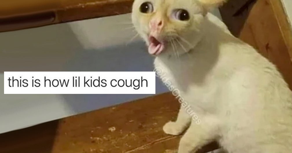 We Need To Talk About This "Coughing" Cat Meme Because It ...