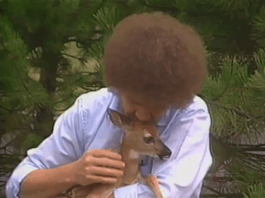 Ross was a lifelong animal lover and had hoped to host a nature show called Bob's World.