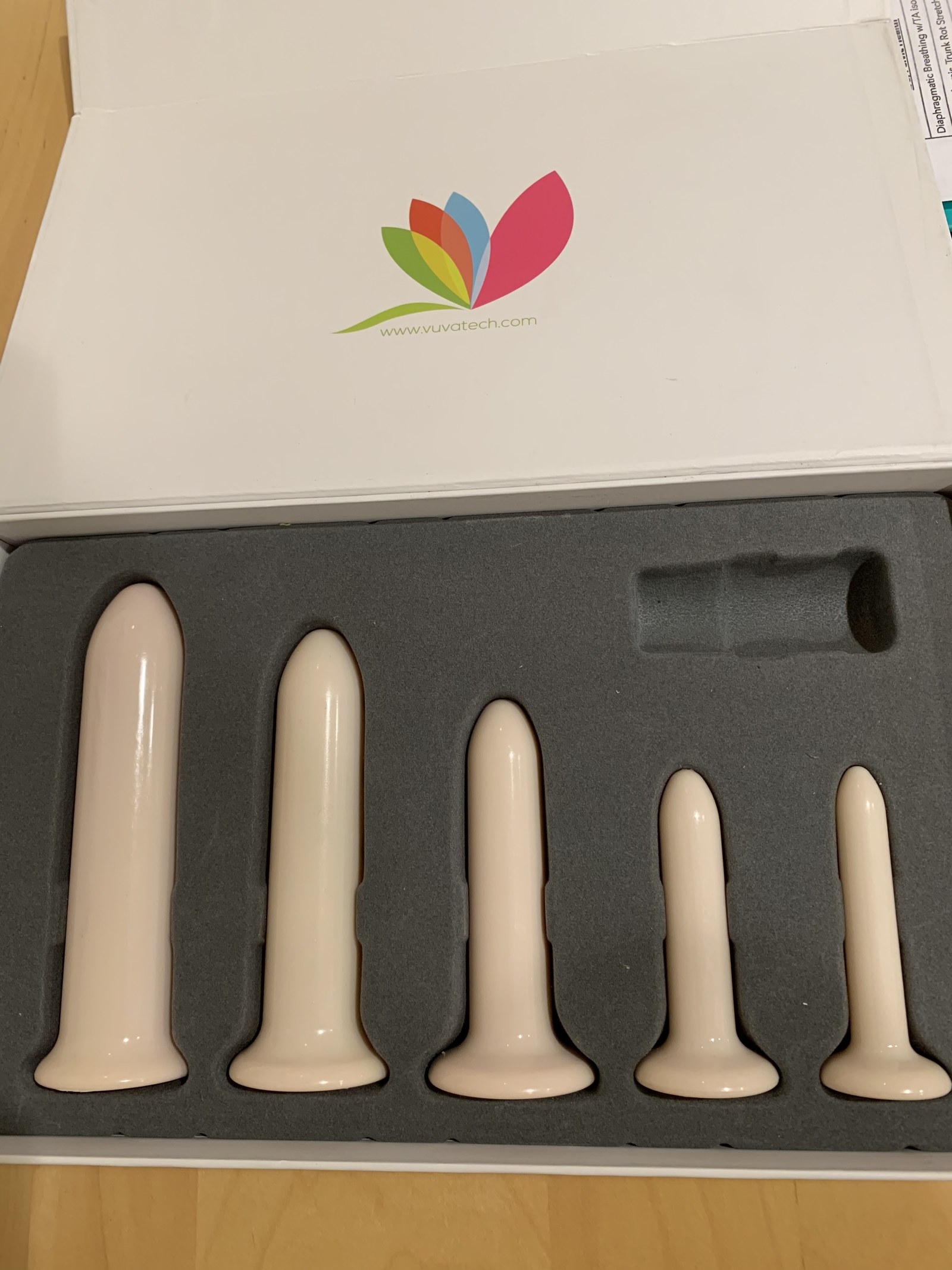 Amielle restore vaginal dilator