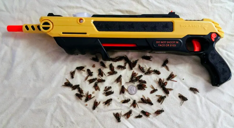 reviewer photo of the salt shooter with a pile of dead bug victims
