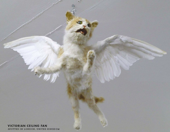 image from book of taxidermy cat with bird wings 