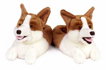 The slippers that are shaped like corgis