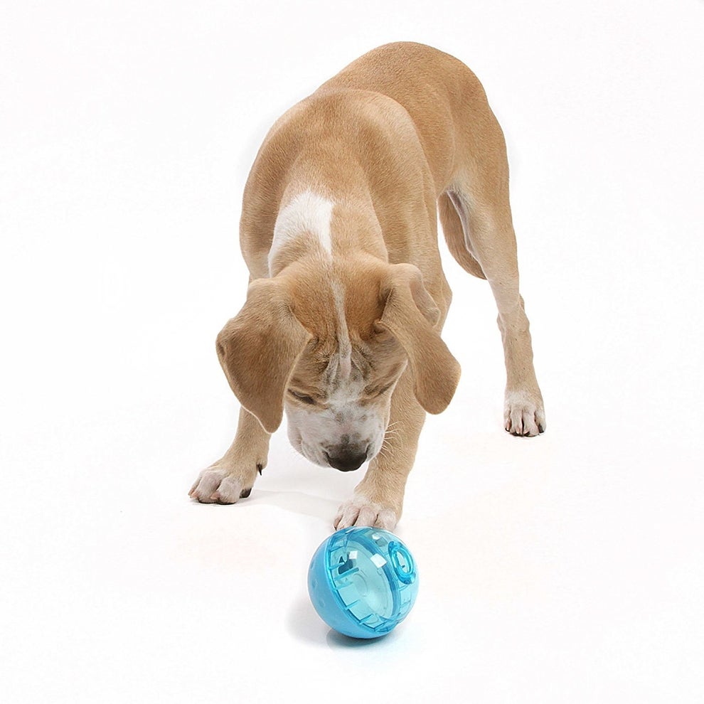 18 Gifts For Dogs And PetLovers