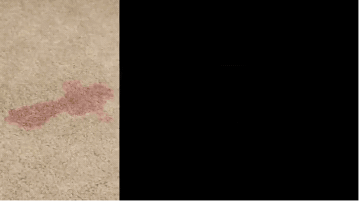 Promising review: “I’m pretty sure there is magic in these. I have spent so many hours scrubbing at different spots on my area rugs (compliments of my monstrous dog with a sensitive stomach) and there are still spots that just won’t come clean. You literally lay these down, step on them for a few seconds and walk away. I generally leave it for 24 hours but I’m not sure if that’s really necessary. The next day you can see the stain on the pad and the rug is spotless.” —mmalliaGet a pack of 20 from Amazon for $24.99.