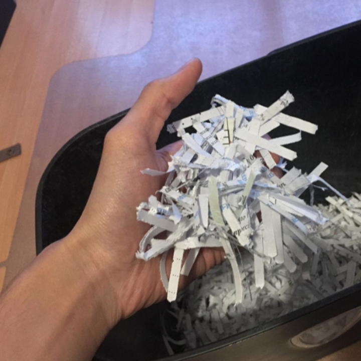 A reviewer holds a handful of small rectangular scraps of shredded paper