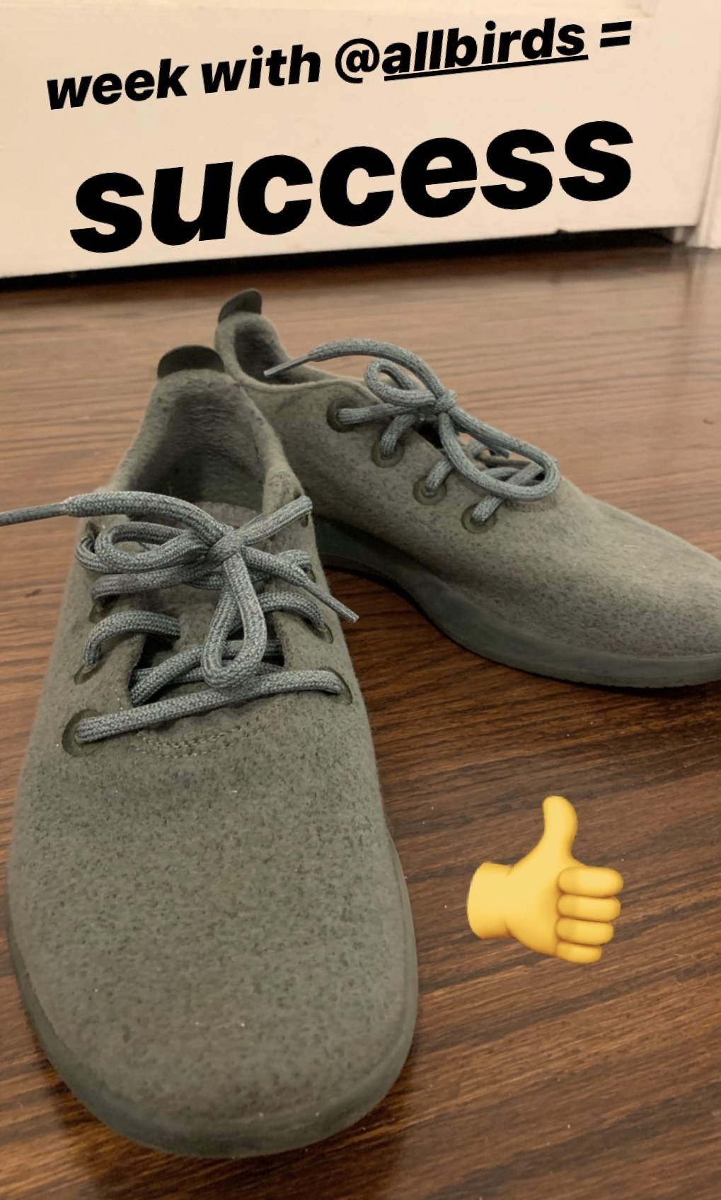 allbirds matcha