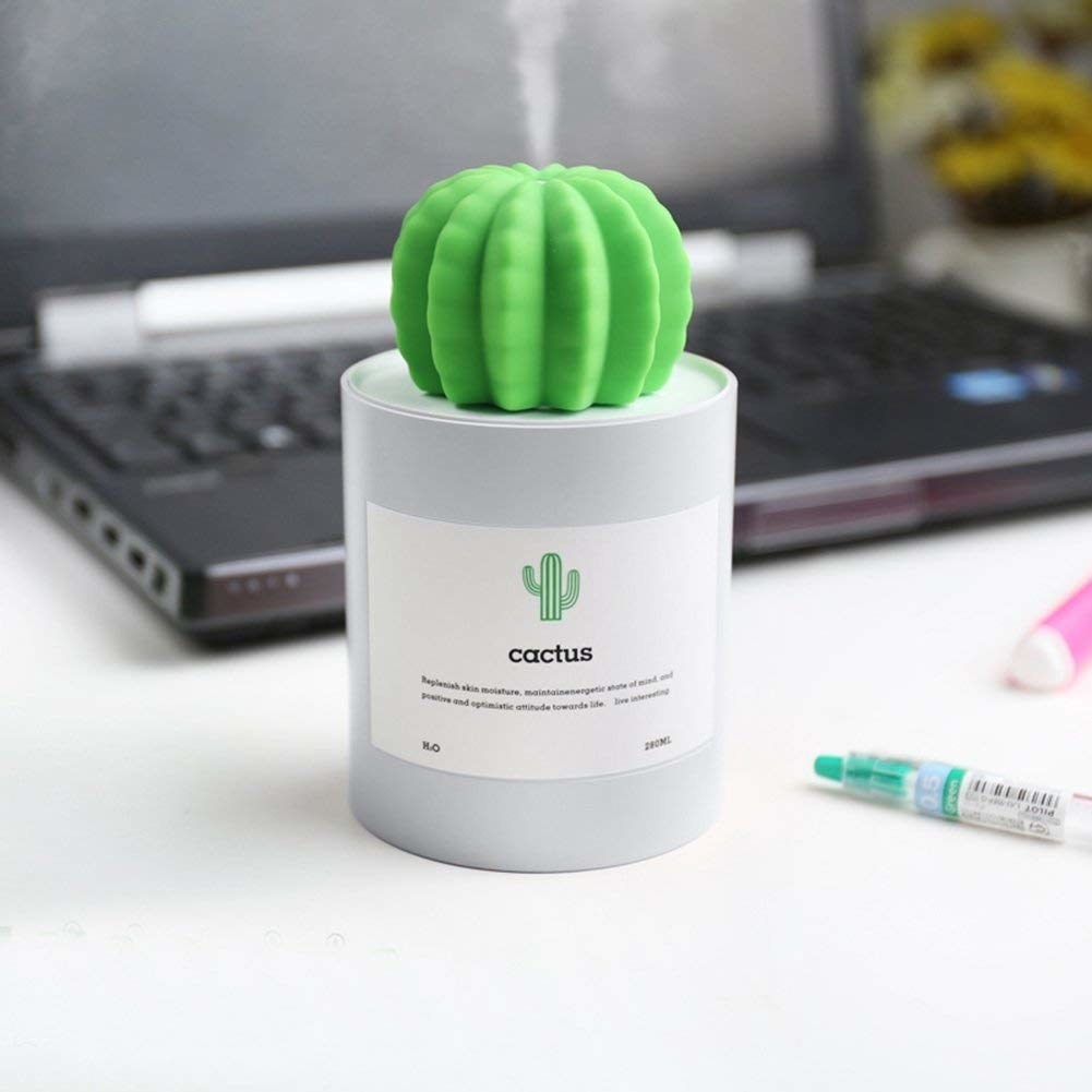 cactus humidifier at work on someone&#x27;s desk