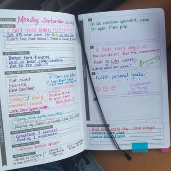 A reviewer's planner pages with all the sections filled out in colorful ink